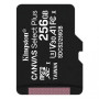 Карта памяти Kingston Canvas Select Plus microSDXC (UHS-1) 256Gb class 10, Black