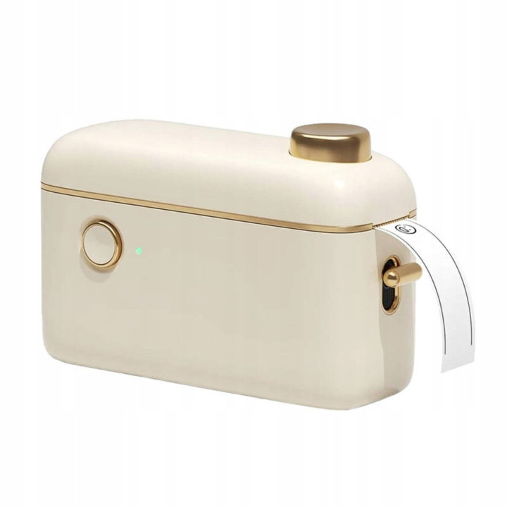 Термопринтер для печати наклеек NIIMBOT H1S, White