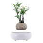 Магнитный левитационный горшок для растений HCNT Magnetic Levitating Pot M5B-PZ-T, White