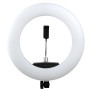 Кольцевая лампа LED Fill Light FD-480II c держатилем, Black