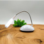 Настольная LED лампа X-7188 (на батарейках), White
